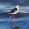 Lovely Black Necked Stilt Diamond Painting