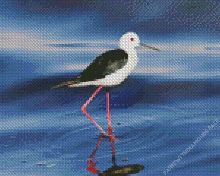 lovely Black Necked Stilt Diamond By Numbers Lovely Black Necked Stilt Diamond Painting