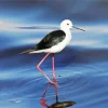 Lovely Black Necked Stilt Diamond Painting