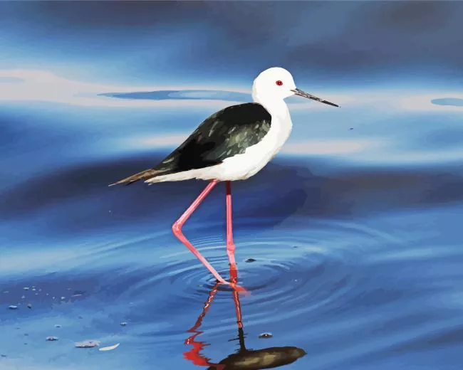lovely Black Necked Stilt Diamond Paints Lovely Black Necked Stilt Diamond Painting