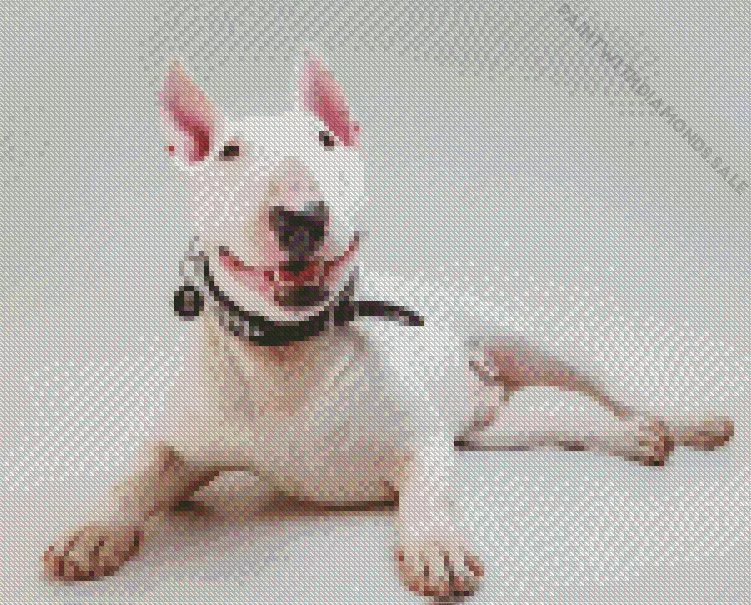 lovely Bull Terrier Diamond By Numbers Lovely Bull Terrier Diamond Painting