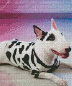 Lovely Bull Terrier Dog Diamond Painting