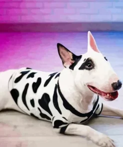 Lovely Bull Terrier Dog Diamond Painting