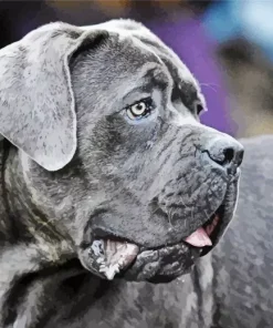 Lovely Cane Corso Diamond Painting