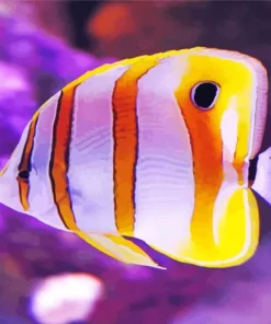 Lovely Copperband Butterfly Fish Diamond Painting