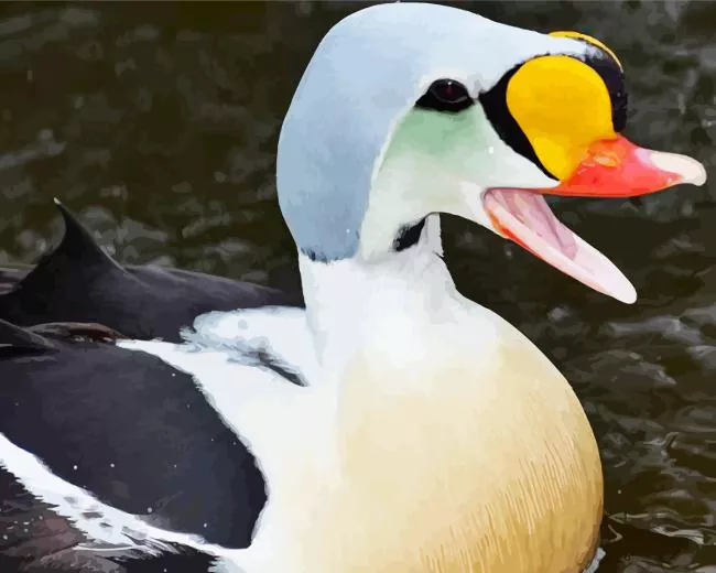 lovely King Eider Diamond By Numbers Lovely King Eider Diamond Painting