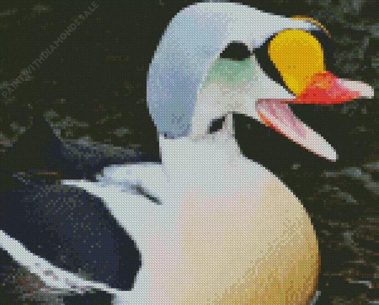 lovely King Eider Diamond Dotz Lovely King Eider Diamond Painting
