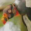 Lovely King Vulture Diamond Painting