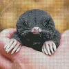 Lovely Mole Diamond Painting
