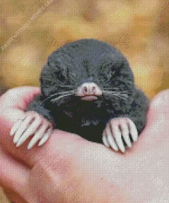 Lovely Mole Diamond Painting