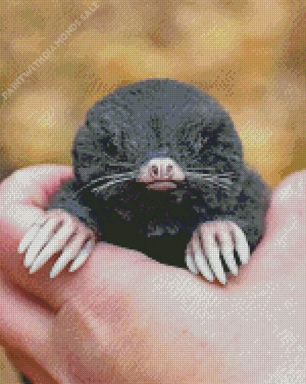 lovely Mole Diamond By Numbers Lovely Mole Diamond Painting