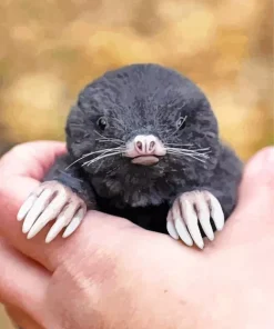 Lovely Mole Diamond Painting