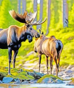 Lovely Moose Diamond Painting