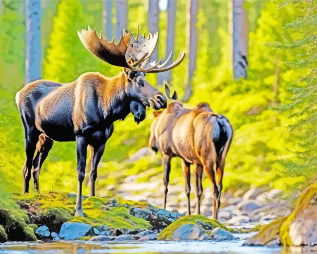 lovely Mooses Diamond Paintings Lovely Moose Diamond Painting