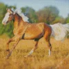 Lovely Palomino Horse Diamond Painting