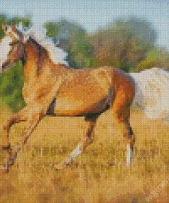 Lovely Palomino Horse Diamond Painting
