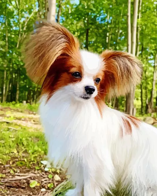 lovely Papillon Diamond By Numbers Lovely Papillon Diamond Painting