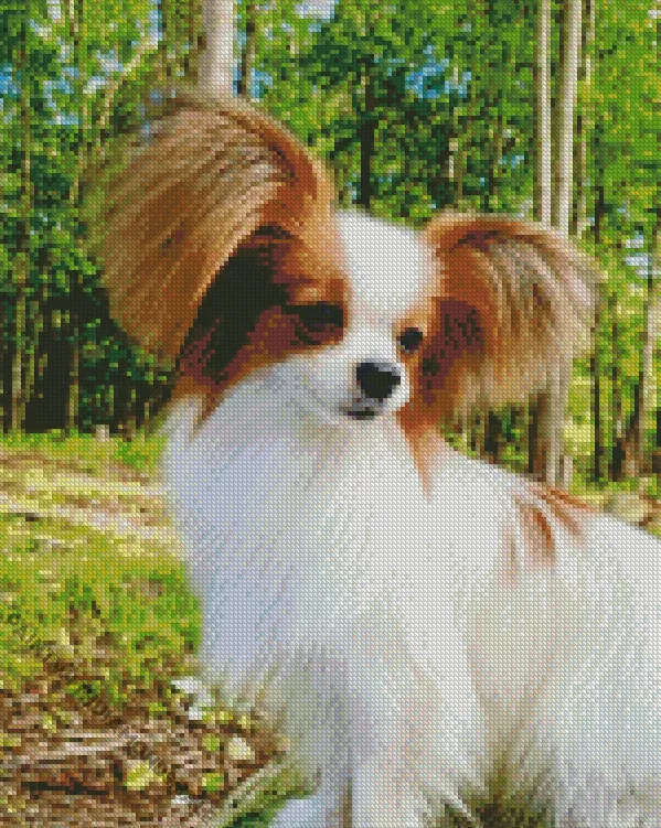 lovely Papillon Diamond Paints Lovely Papillon Diamond Painting