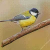 Lovely Parus Bird Diamond Painting