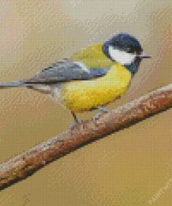 Lovely Parus Bird Diamond Painting