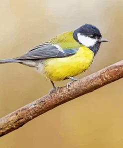 Lovely Parus Bird Diamond Painting