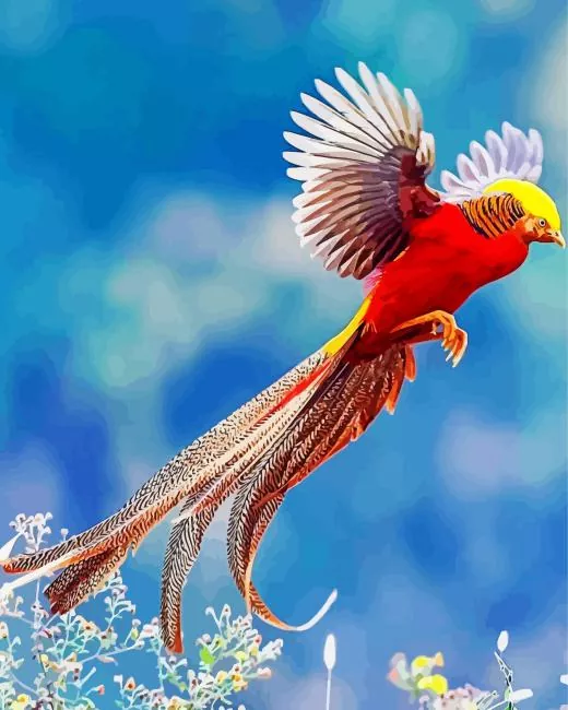 lovely Pheasant Diamond By Numbers Lovely Pheasant Diamond Painting