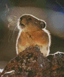 Lovely Pika Diamond Painting
