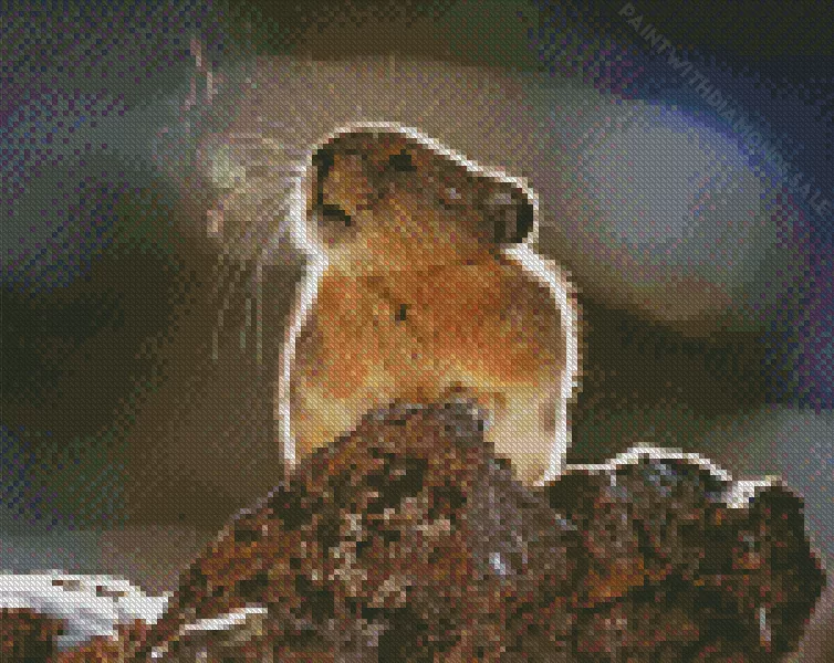 lovely Pika Diamond By Numbers Lovely Pika Diamond Painting