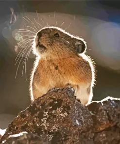 Lovely Pika Diamond Painting