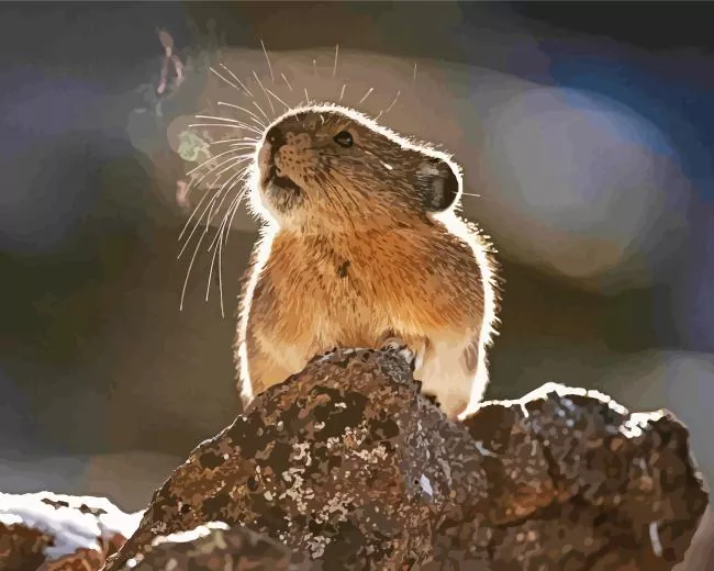 lovely Pika Diamond Paintings Lovely Pika Diamond Painting