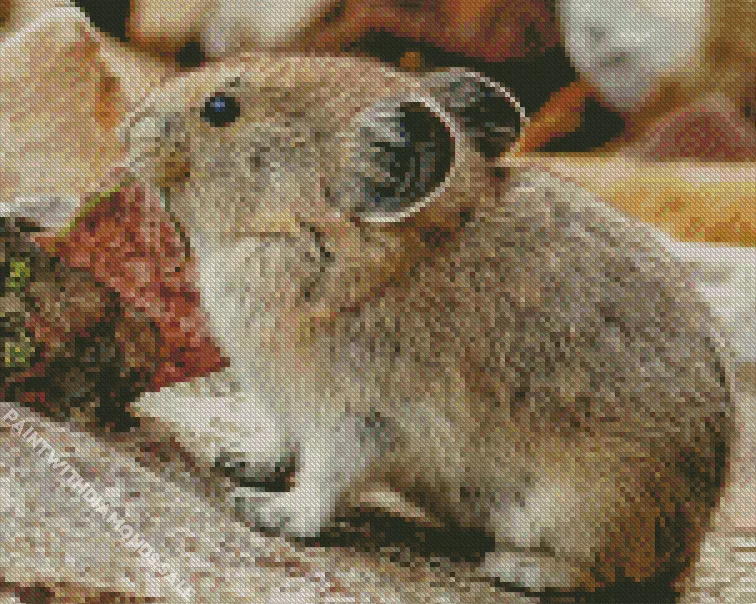 lovely Pika animal Diamond By Numbers Lovely Pika Animal Diamond Painting