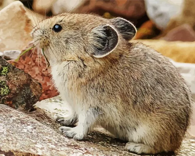 lovely Pika animal Diamond Paintings Lovely Pika Animal Diamond Painting