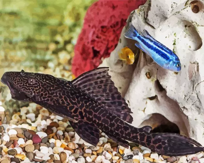 lovely Pleco Fish Diamond Paints Lovely Pleco Fish Diamond Painting