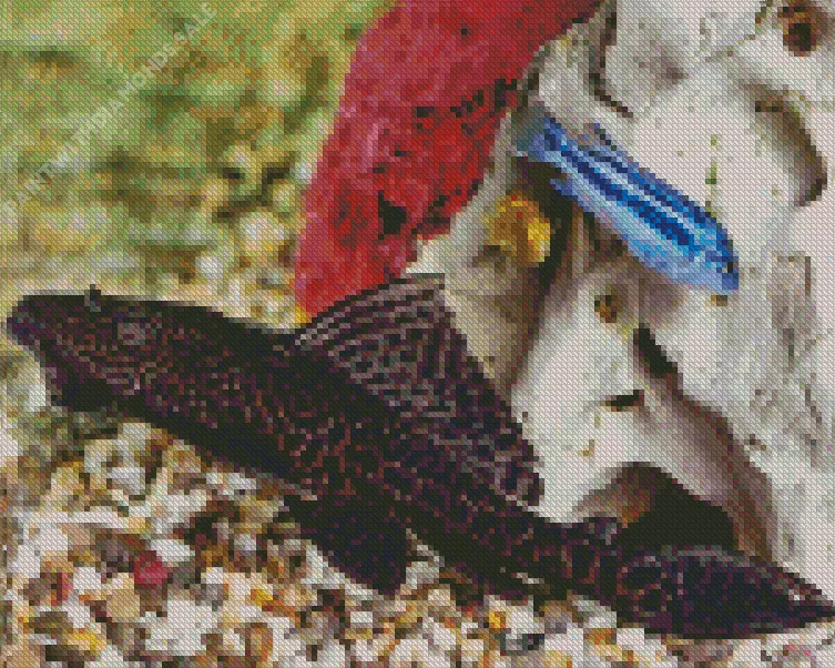 lovely Pleco Fish Diamond With Numbers Lovely Pleco Fish Diamond Painting
