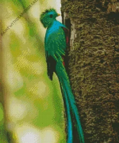 Lovely Resplendent Quetzal Diamond Painting