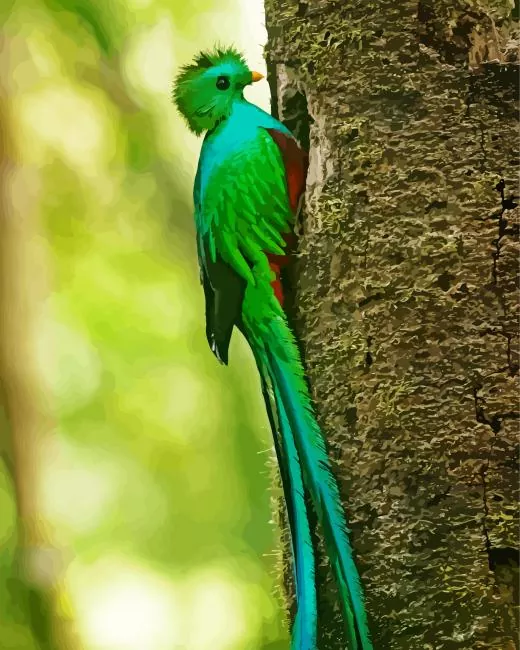 lovely Resplendent Quetzal Diamond Paintings Lovely Resplendent Quetzal Diamond Painting