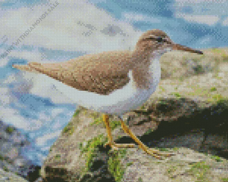 lovely Sandpiper Diamond Dotz Lovely Sandpiper Diamond Painting
