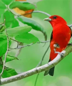 Lovely Scarlet Tanager Diamond Painting