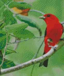 Lovely Scarlet Tanager Diamond Painting