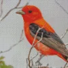 Lovely Scarlet Tanager Bird Diamond Painting