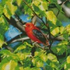Lovely Summer Tanager Bird Diamond Painting