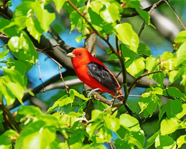 lovely Summer Tanager bird Diamond Paintings Lovely Summer Tanager Bird Diamond Painting