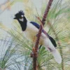 Lovely Tufted Jay Diamond Painting