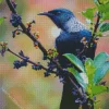 Lovely Tui Bird Diamond Painting