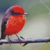 Lovely Vermilion Flycatcher Diamond Painting