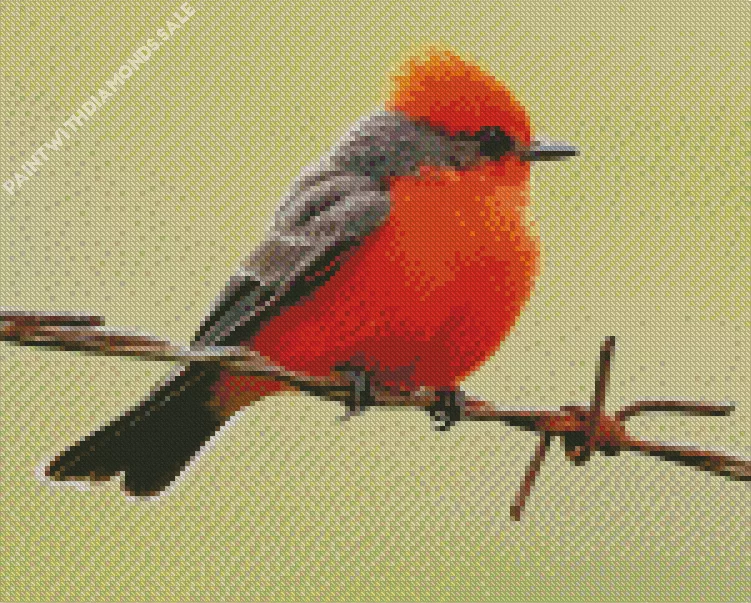 lovely Vermilion Flycatcher bird Diamond By Numbers Lovely Vermilion Flycatcher Bird Diamond Painting
