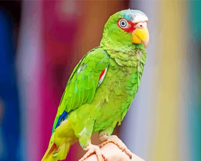 lovely White Fronted Amazon Diamond By Numbers Lovely White Fronted Amazon Diamond Painting