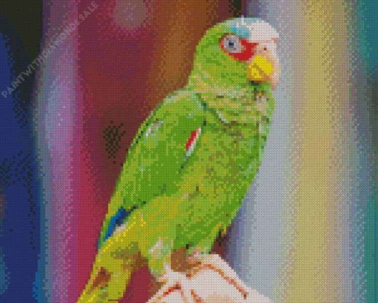 lovely White Fronted Amazon Diamond Dotz Lovely White Fronted Amazon Diamond Painting
