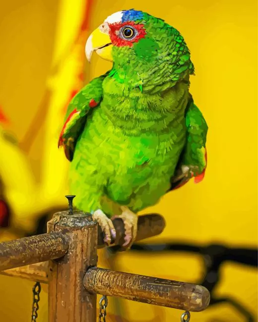 lovely White Fronted Amazon bird Diamond By Numbers Lovely White Fronted Amazon Bird Diamond Painting