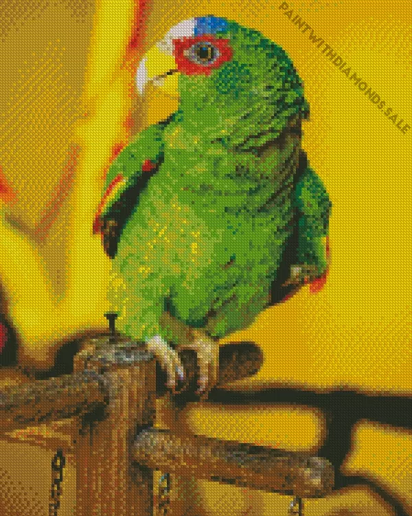 lovely White Fronted Amazon bird Diamond Dotz Lovely White Fronted Amazon Bird Diamond Painting